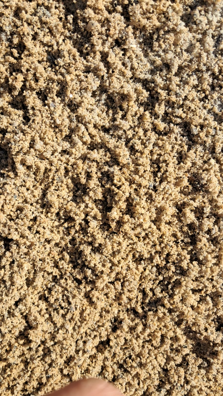 60/40 Coarse Sand